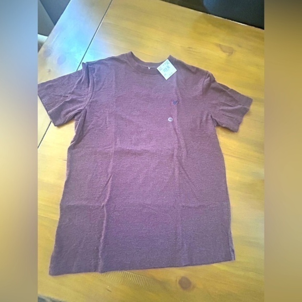 NWT AEO Men's Maroon T-Shirt